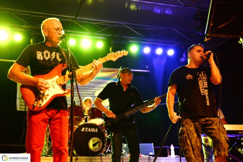 Könnyűzenei fellépők a Serfeszten