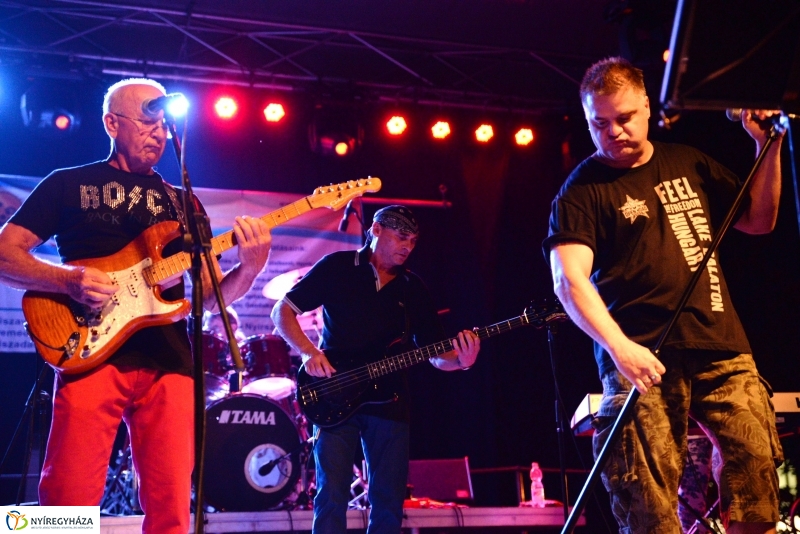 Könnyűzenei fellépők a Serfeszten