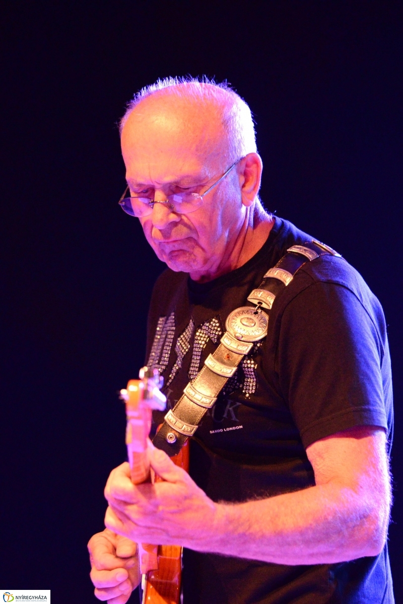 Könnyűzenei fellépők a Serfeszten