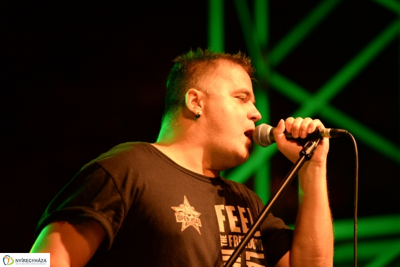 Könnyűzenei fellépők a Serfeszten