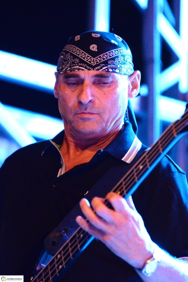 Könnyűzenei fellépők a Serfeszten