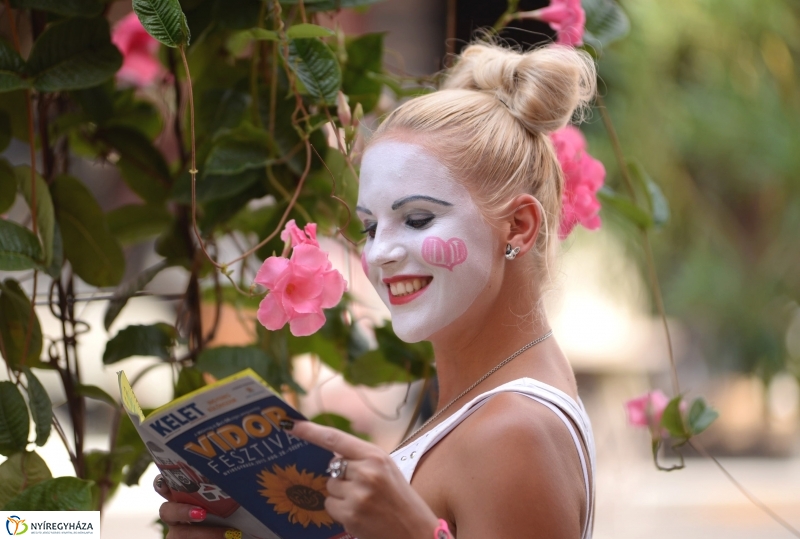 Vidorfesztivál 2015 hamarosan