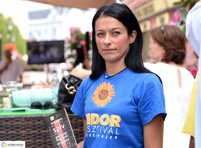 Vidorfesztivál 2015 hamarosan