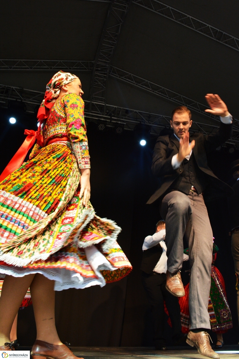 Free Dance Nemzetközi Táncfesztivál 