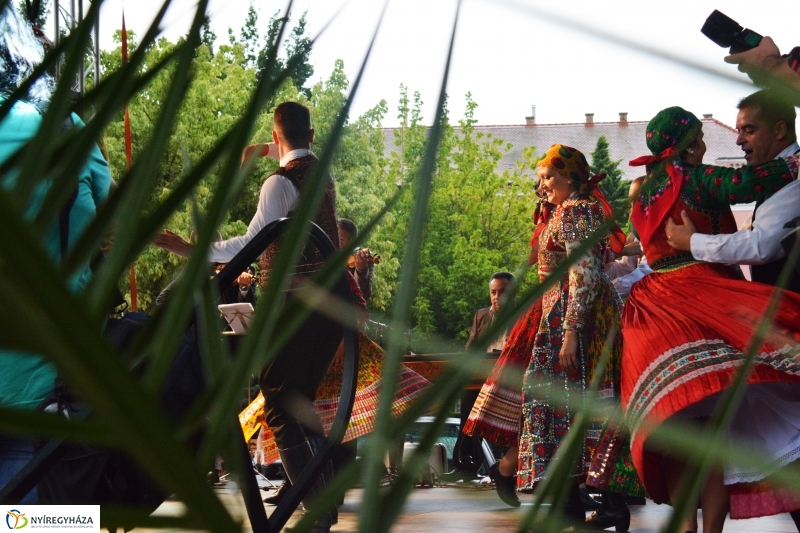 Free Dance Nemzetközi Táncfesztivál 