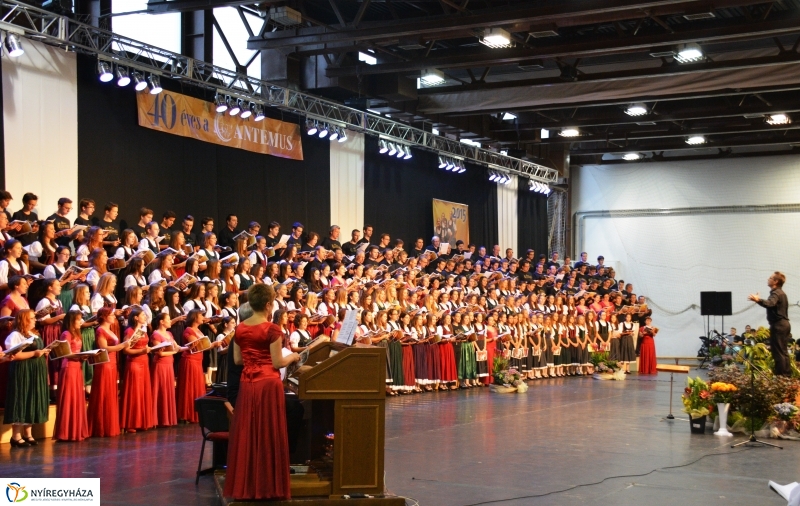 A 40 éves Cantemus