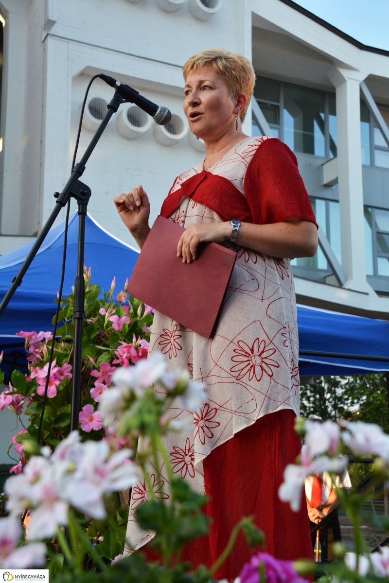 A VIDOR Sziget bemutatja