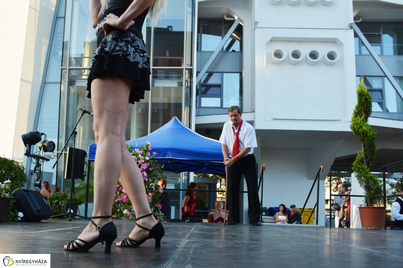 A VIDOR Sziget bemutatja