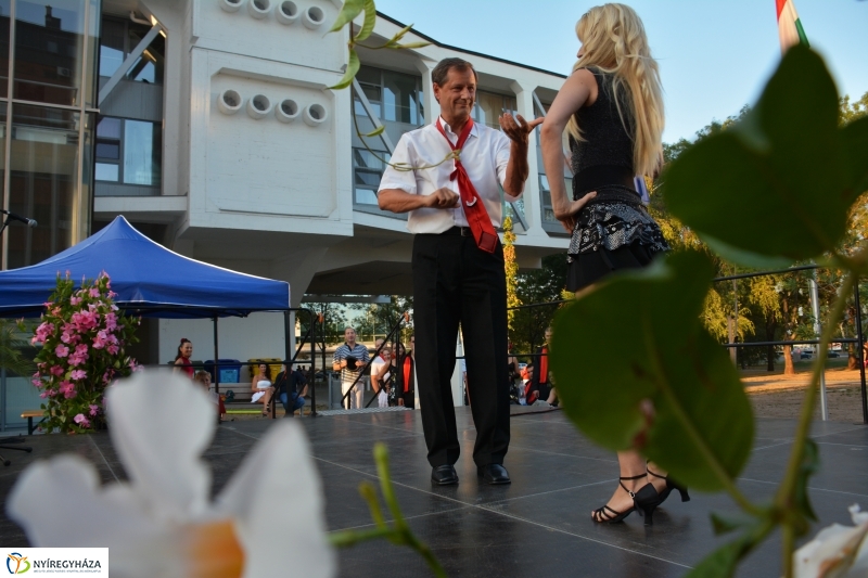 A VIDOR Sziget bemutatja