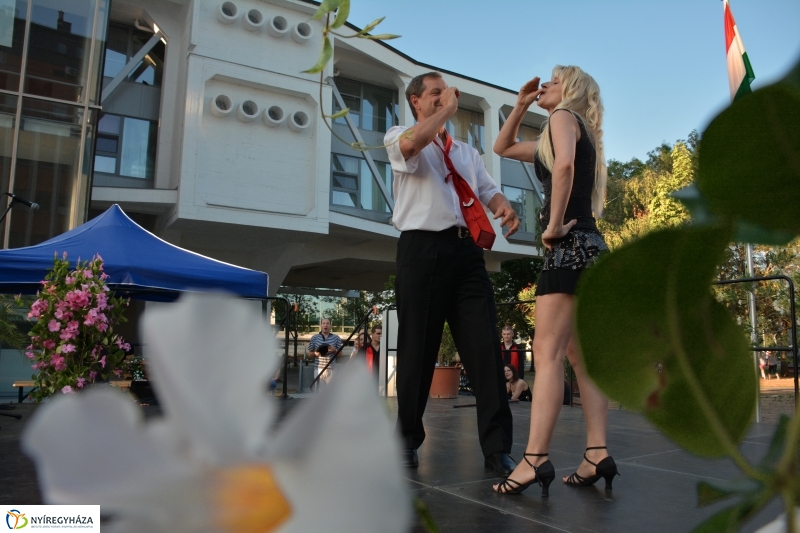 A VIDOR Sziget bemutatja