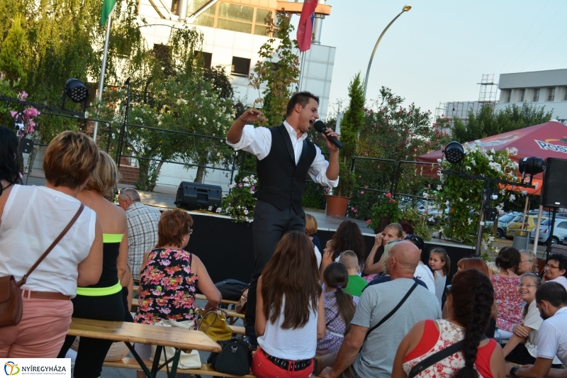 A VIDOR Sziget bemutatja