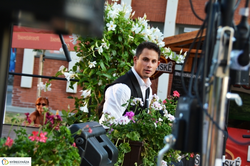 A VIDOR Sziget bemutatja