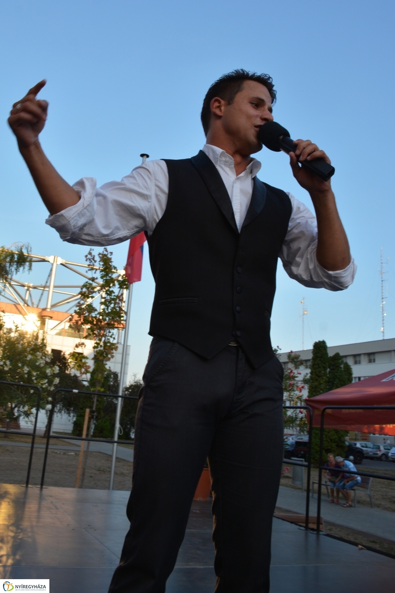 A VIDOR Sziget bemutatja