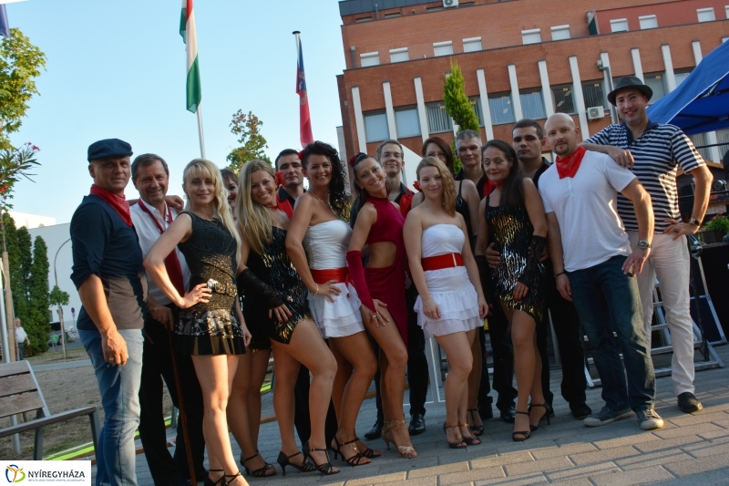 A VIDOR Sziget bemutatja