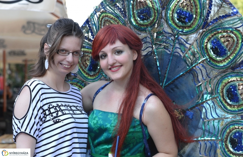 Vasárnap délutáni séta a Vidor-programok helyszínein