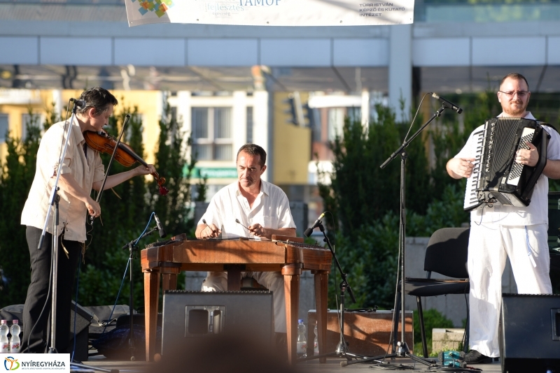 Vasárnap délutáni séta a Vidor-programok helyszínein