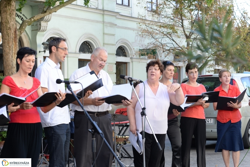 Szerda délutáni Vidor-séta