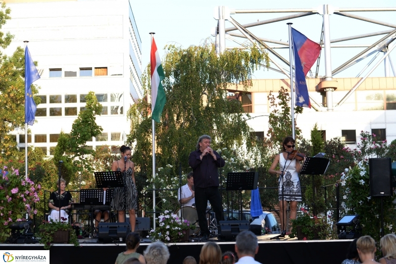 Szerda délutáni Vidor-séta