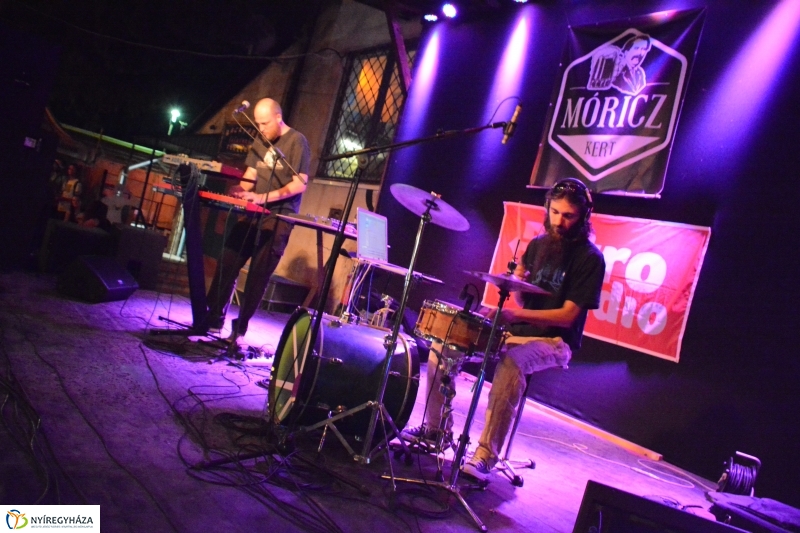 Operentzia koncert a Móricz kertben