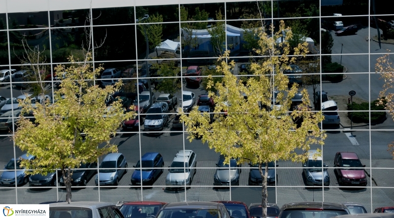 Fogyasztóvédelmi roadshow