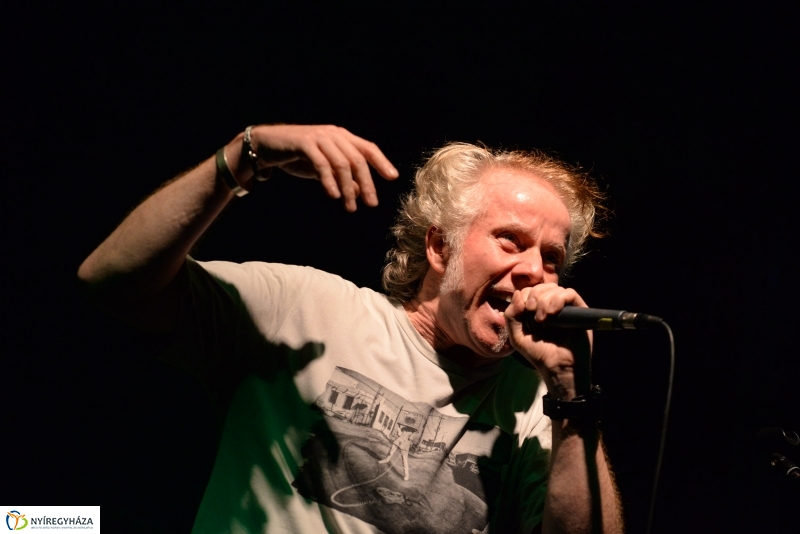 Csütörtök esti Vidor