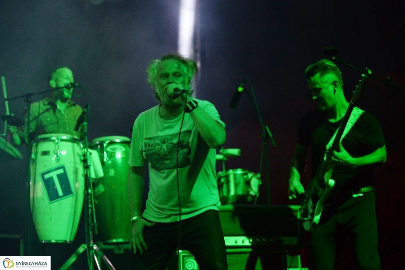 Csütörtök esti Vidor