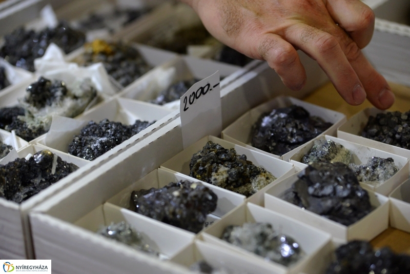 Nezetközi Ásványbörze a VMKK-ban