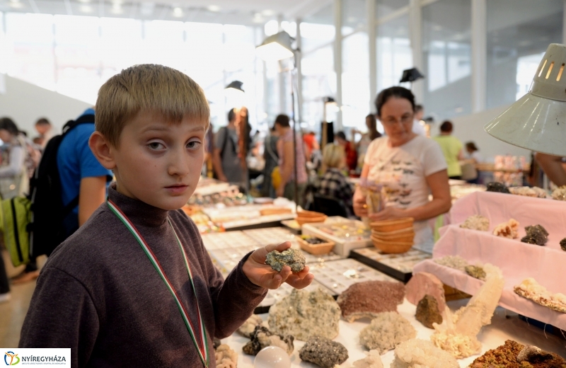 Nezetközi Ásványbörze a VMKK-ban