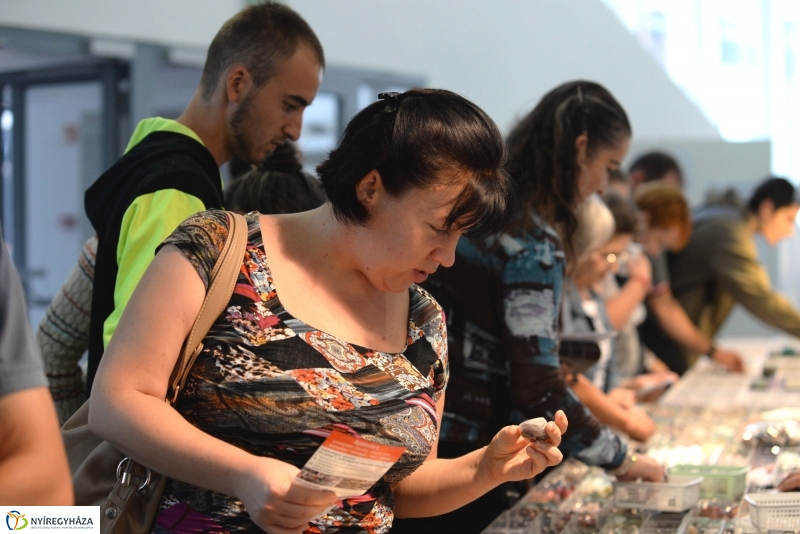 Nezetközi Ásványbörze a VMKK-ban