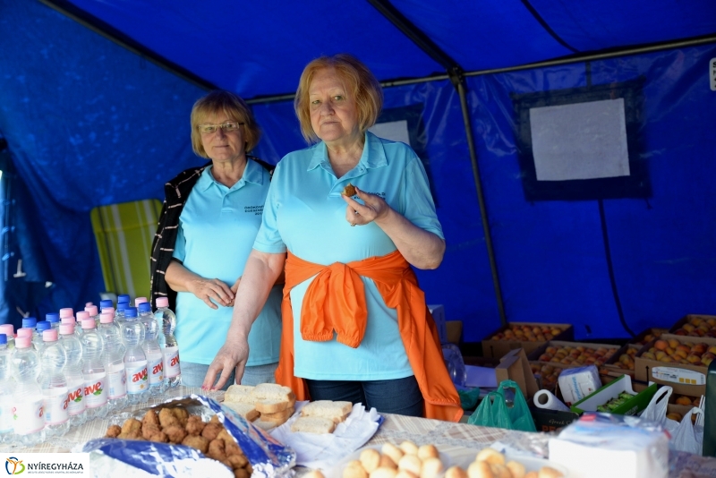 Esős egészségnap Örökösföldön