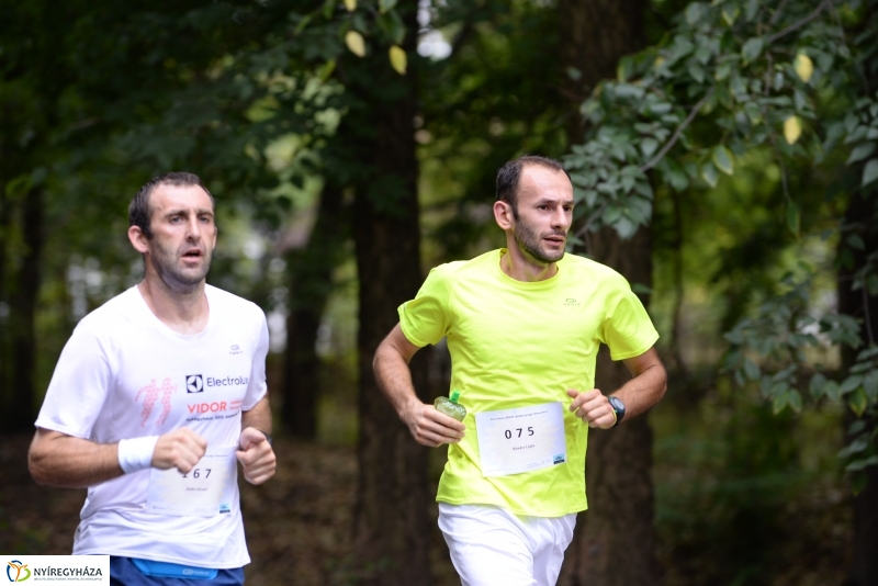 Electrolux Vidor futás 1