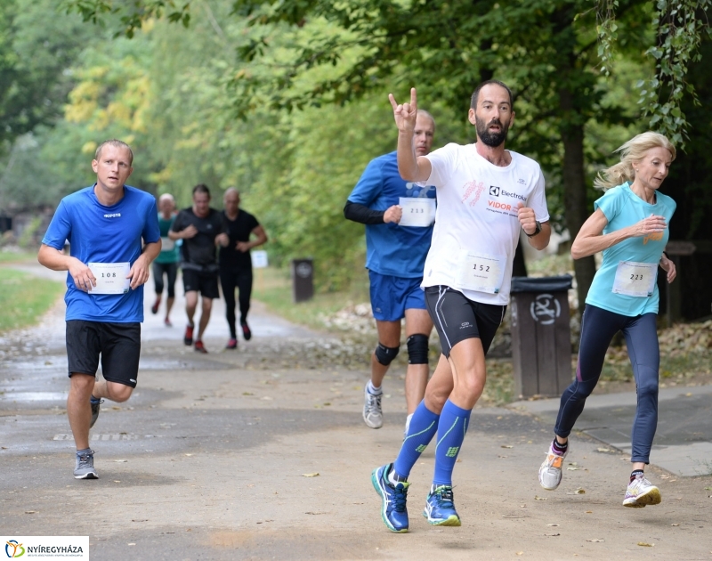 Electrolux Vidor futás 1