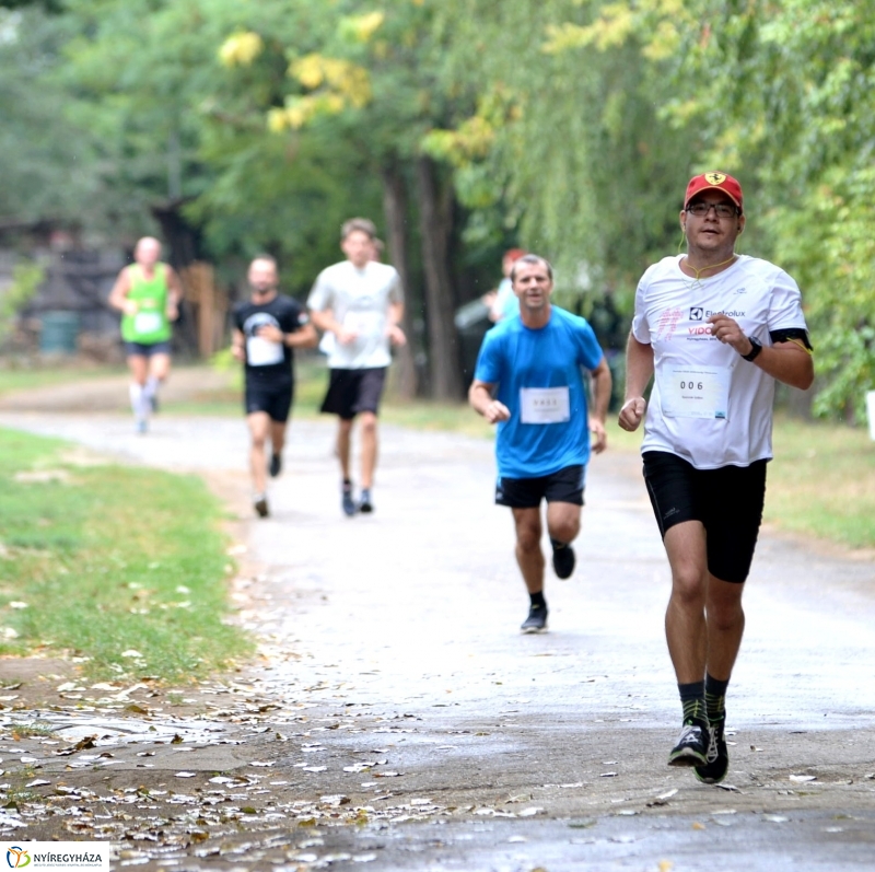 Electrolux Vidor futás 1