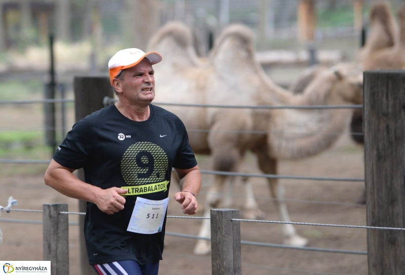 Electrolux Vidor futás 2