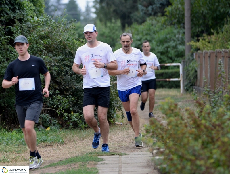 Electrolux Vidor futás 2