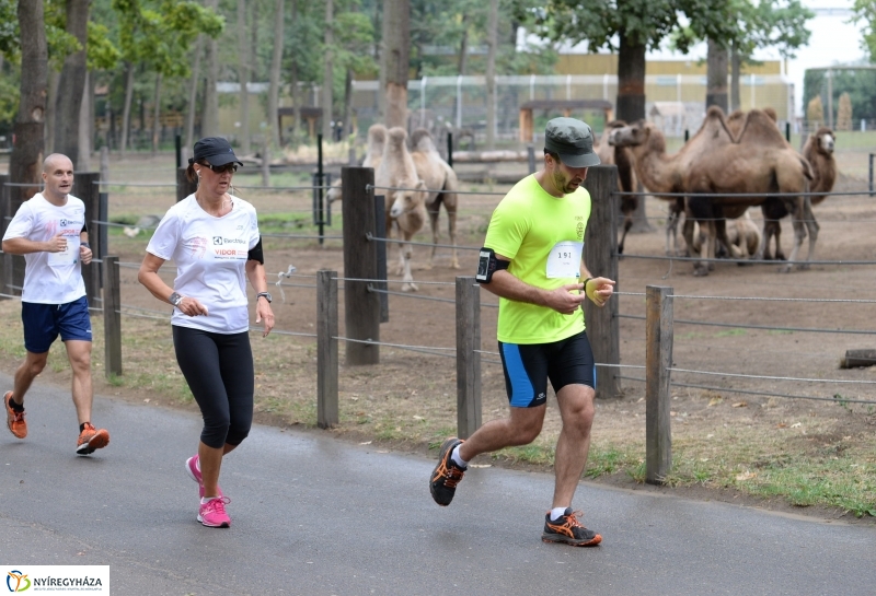 Electrolux Vidor futás 2