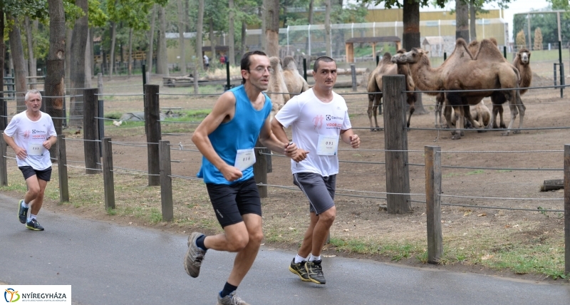 Electrolux Vidor futás 2