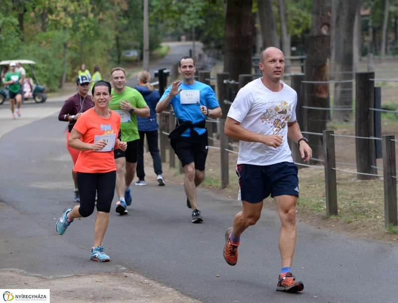 Electrolux Vidor futás 3