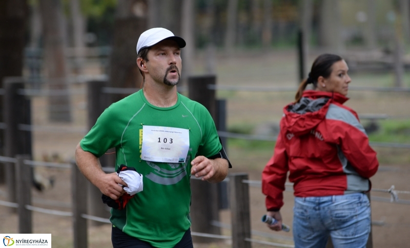 Electrolux Vidor futás 3