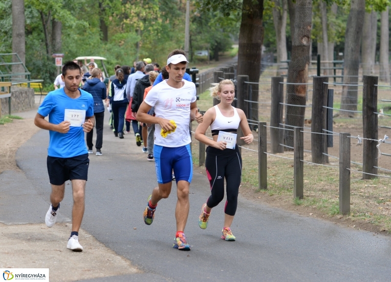 Electrolux Vidor futás 3