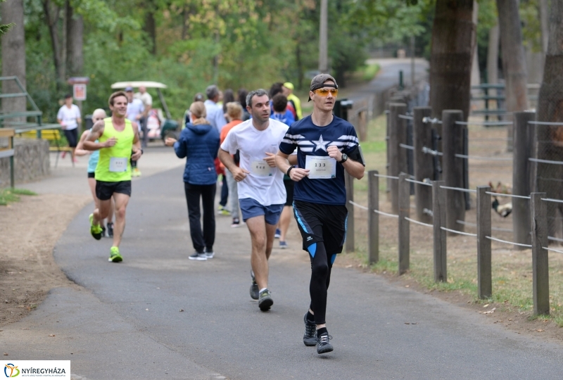 Electrolux Vidor futás 3