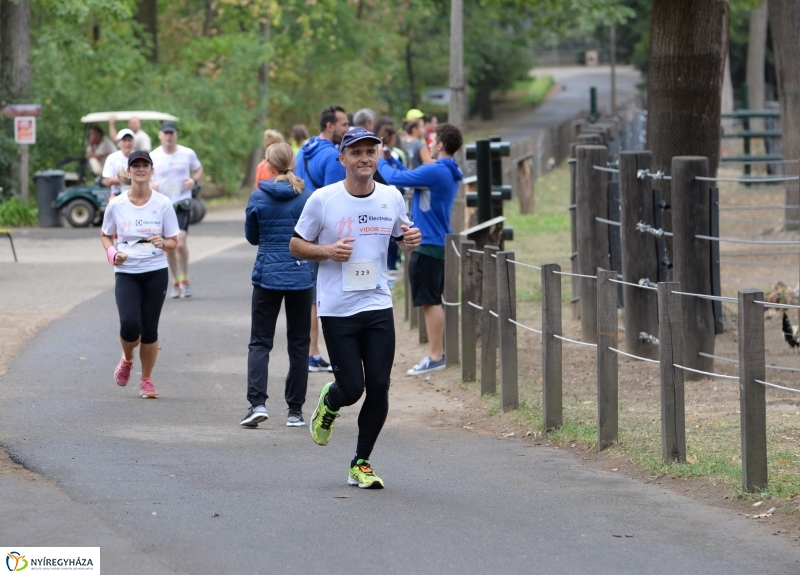 Electrolux Vidor futás 3