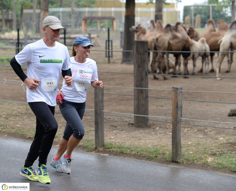 Electrolux Vidor futás 3