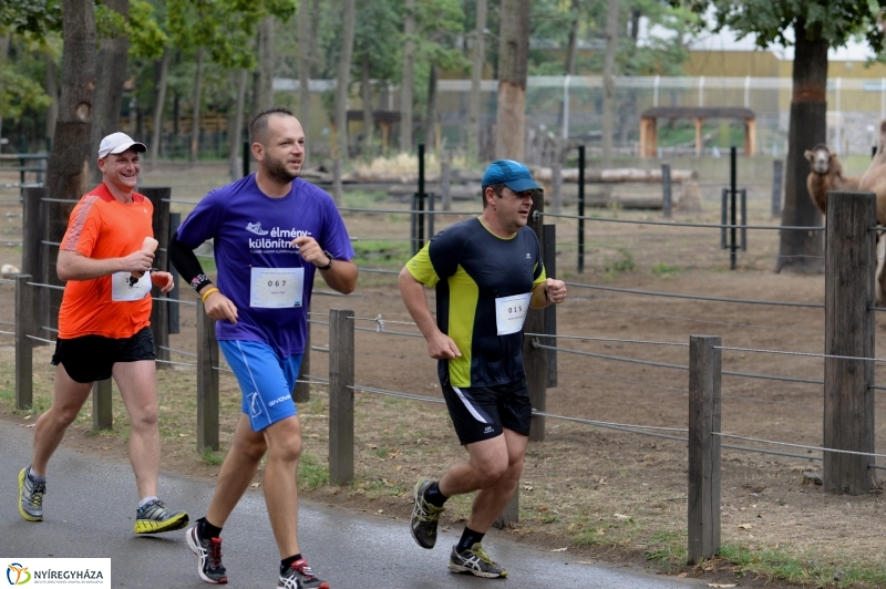 Electrolux Vidor futás 3