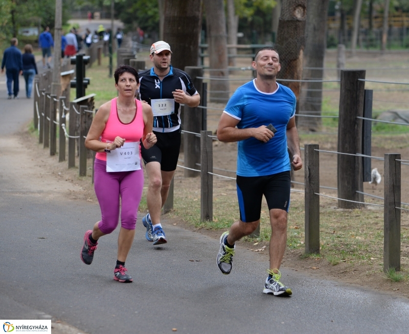 Electrolux Vidor futás 3