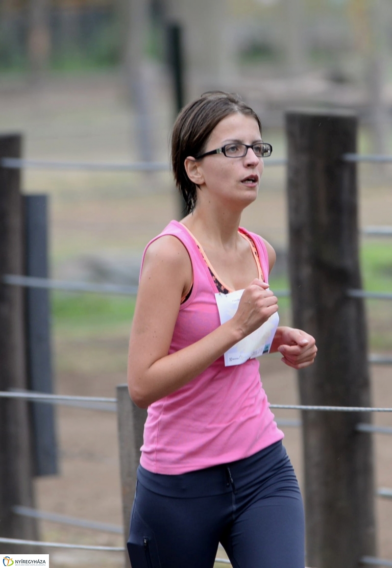 Electrolux Vidor futás 3