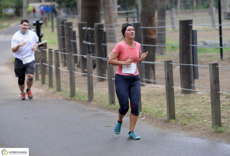 Electrolux Vidor futás 3