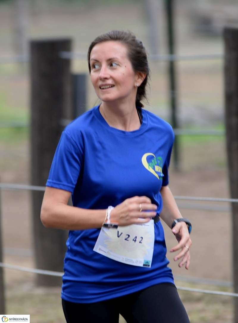 Electrolux Vidor futás 3