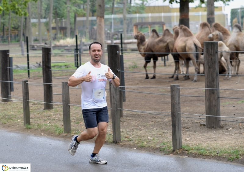 Electrolux Vidor futás 3