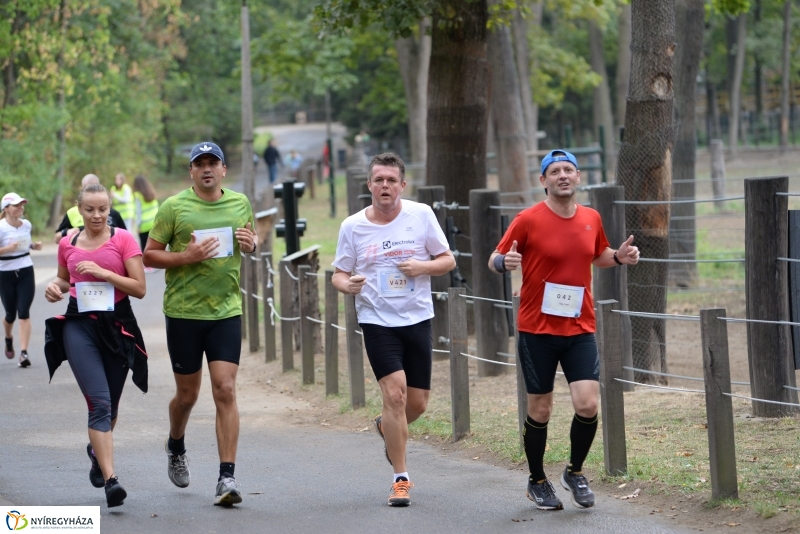 Electrolux Vidor futás 3